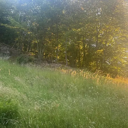 דירה Leberbach Furth (Hessen)